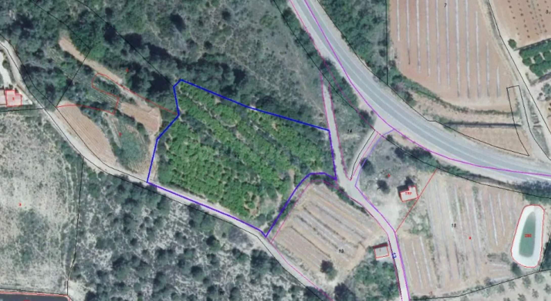 Suelo No Urbanizable (Agrícola Secano/Regadio) en Estubeny - foto 3