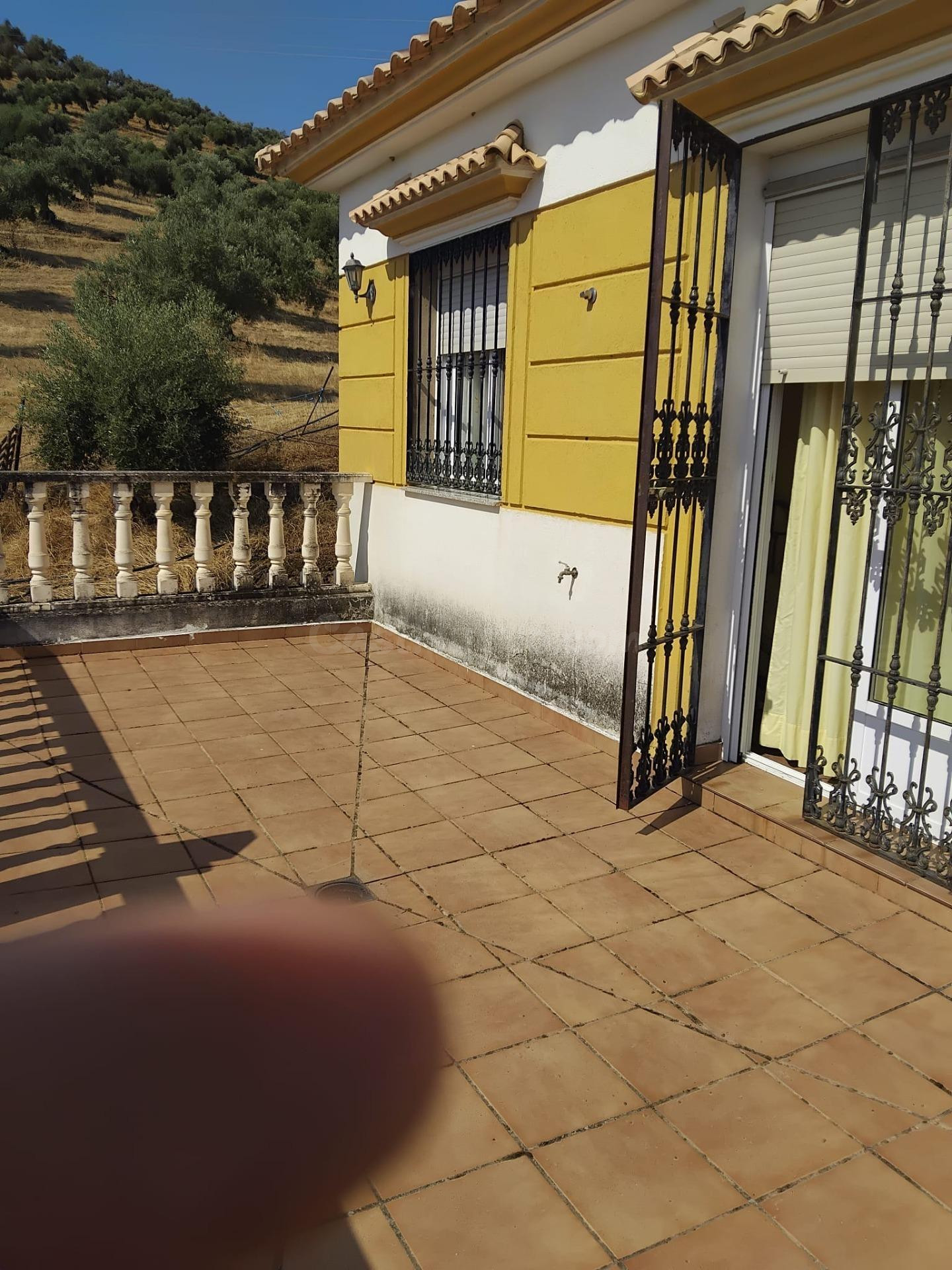 FINCA DE OLIVAR CON VIVIENDA LEGAL JUNTO AL RIO GUADALBARBO - foto 2
