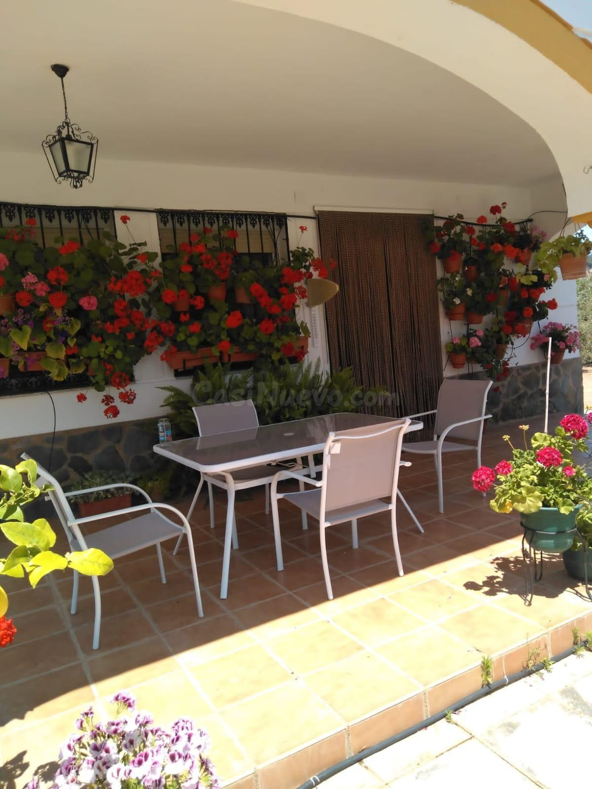 FINCA DE OLIVAR CON VIVIENDA LEGAL JUNTO AL RIO GUADALBARBO - foto 3