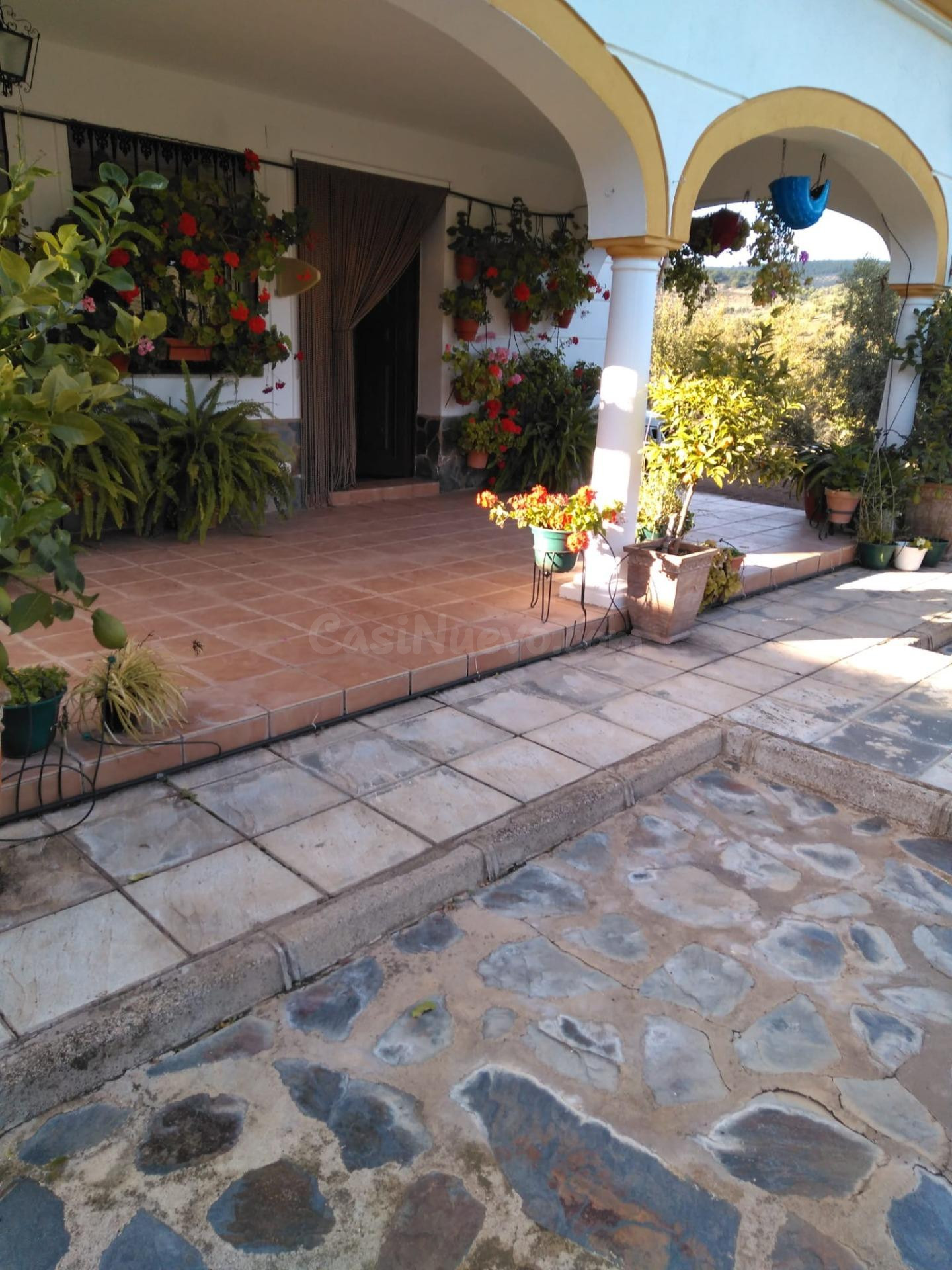 FINCA DE OLIVAR CON VIVIENDA LEGAL JUNTO AL RIO GUADALBARBO - foto 4