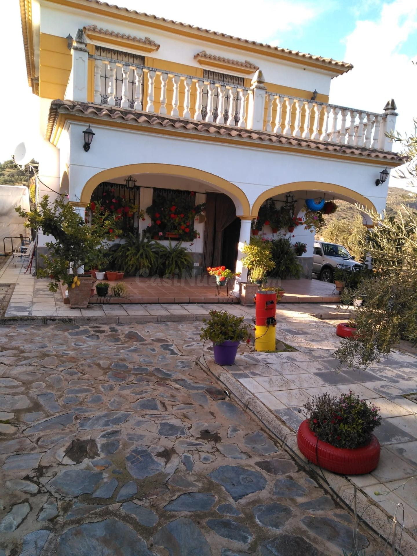 FINCA DE OLIVAR CON VIVIENDA LEGAL JUNTO AL RIO GUADALBARBO - foto 5