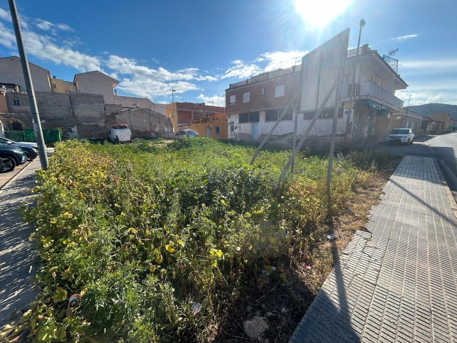 TERRENO URBANIZABLE EN VENTA, EN EL ALGAR - foto 2