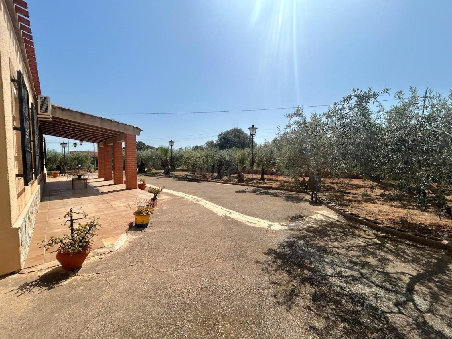 FINCA RUSTICA EN VENTA, PARAJE LOS NAVARROS (LA ALJORRA)