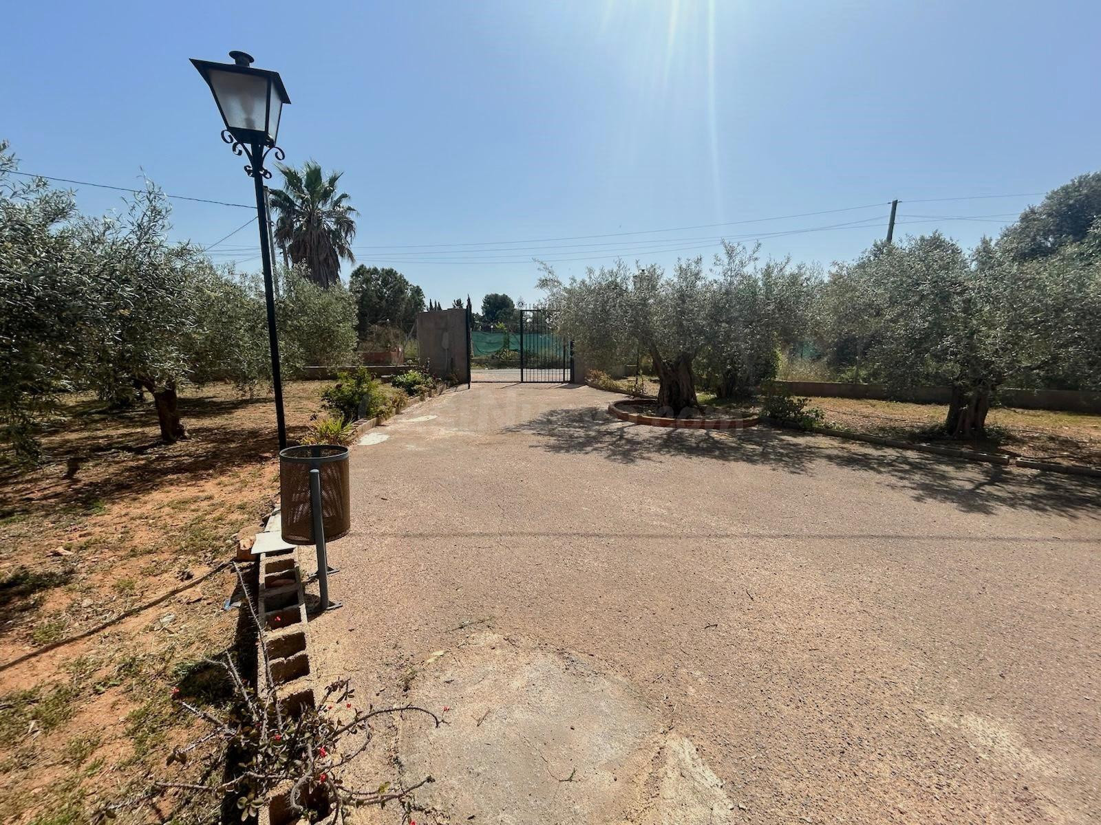 FINCA RUSTICA EN VENTA, PARAJE LOS NAVARROS (LA ALJORRA) - foto 5