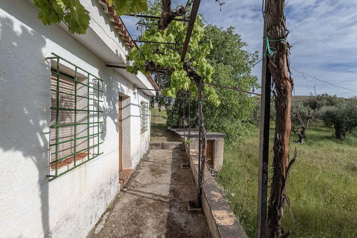 Finca rústica con casa de aperos y espectaculares vistas en  - foto 4