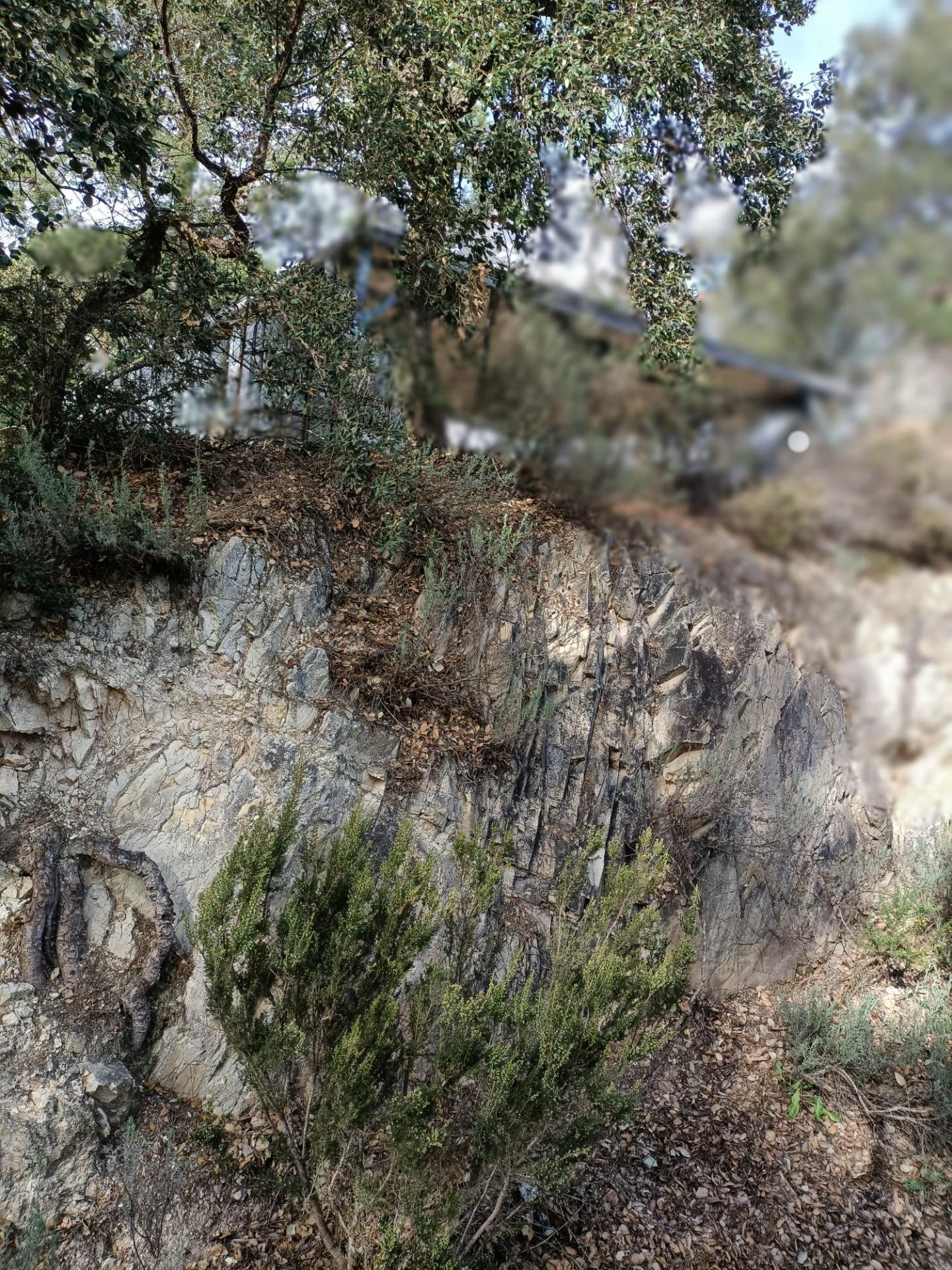 Terreno urbanizable en venta - Lloret blau - foto 4