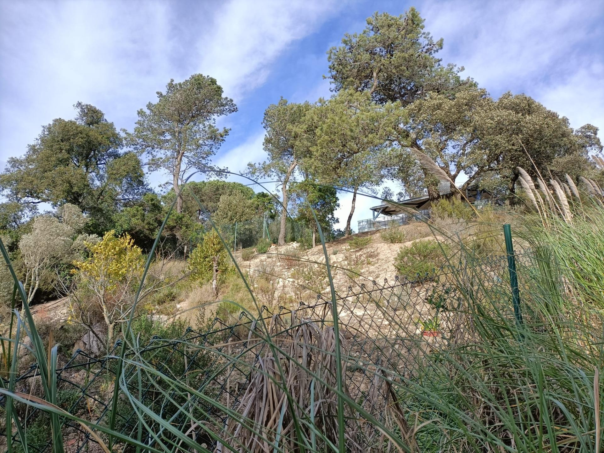 Terreno urbanizable en venta - Lloret blau - foto 5