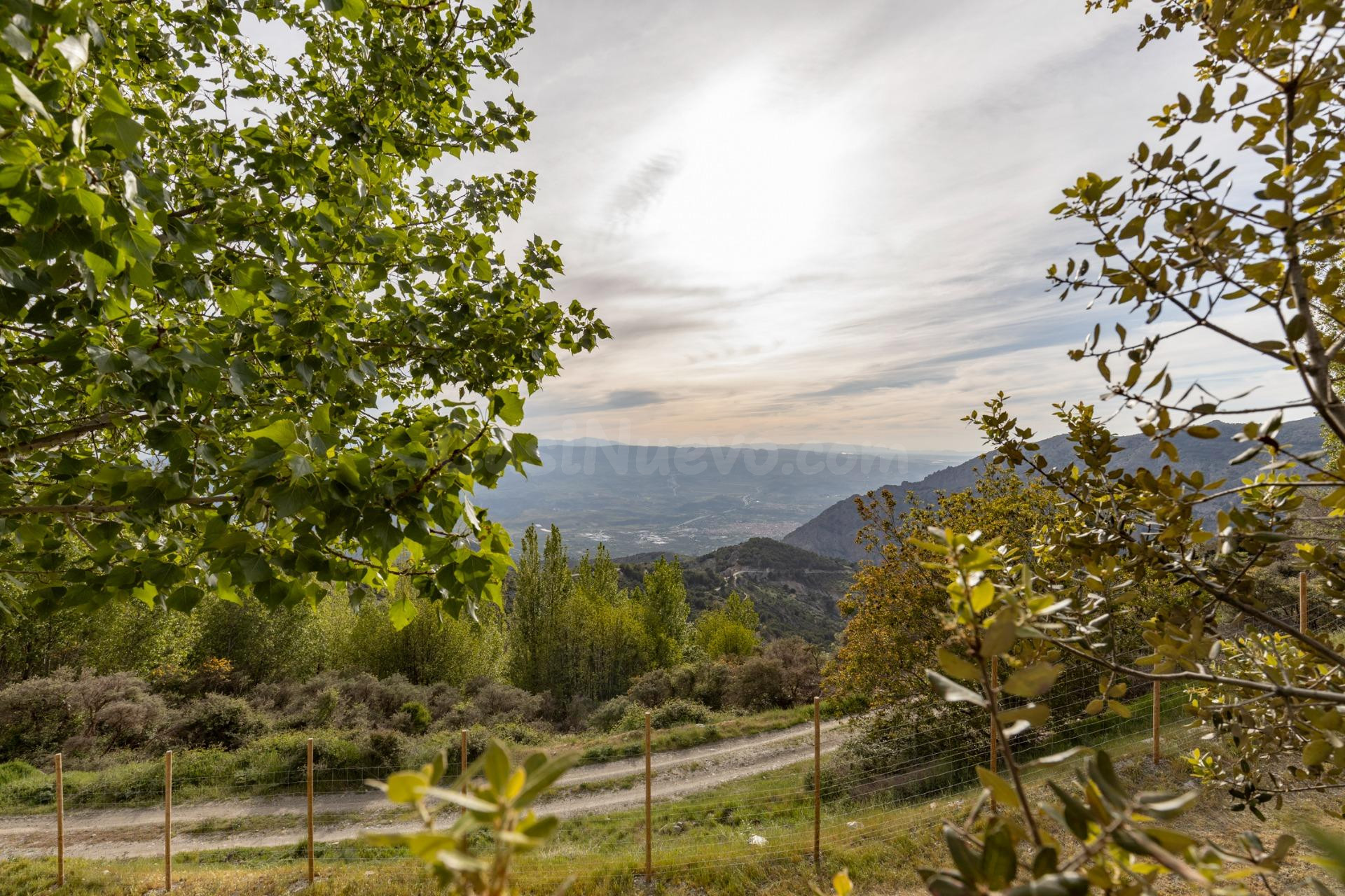 Cortijo Sierra Nigüelas - foto 4