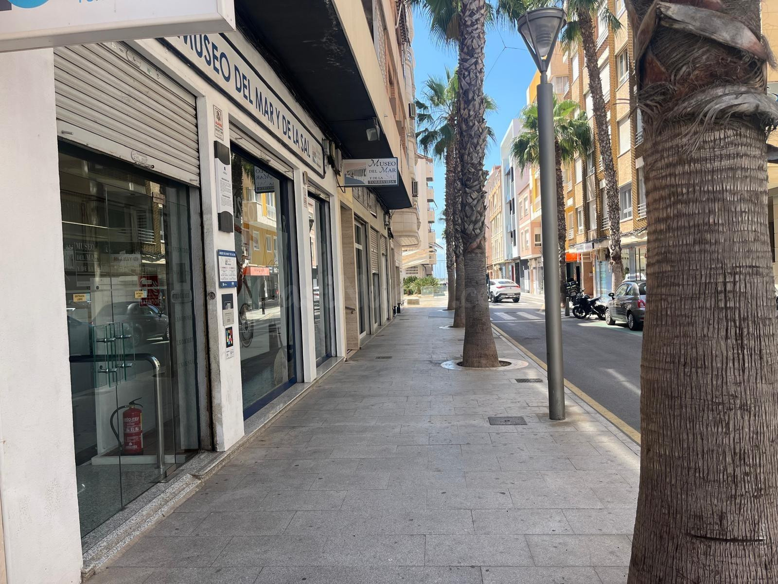 Local en pleno centro de Torrevieja con 477 m2 construidos. - foto 4