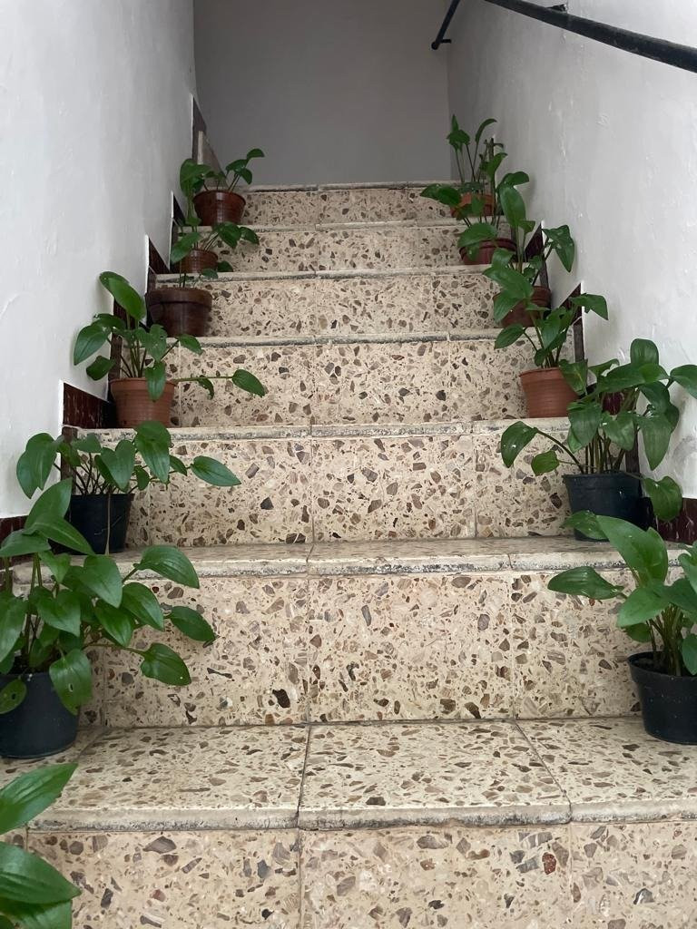 Casa grande en casco histórico - foto 3