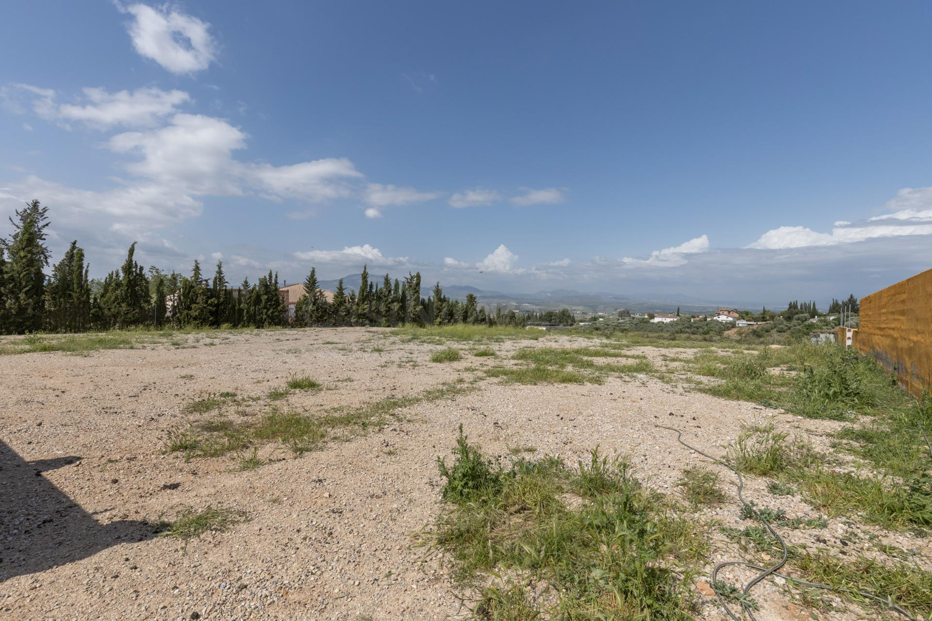 Terreno de Regadío en Venta en Moraleda de Zafayona – Ideal  - foto 2