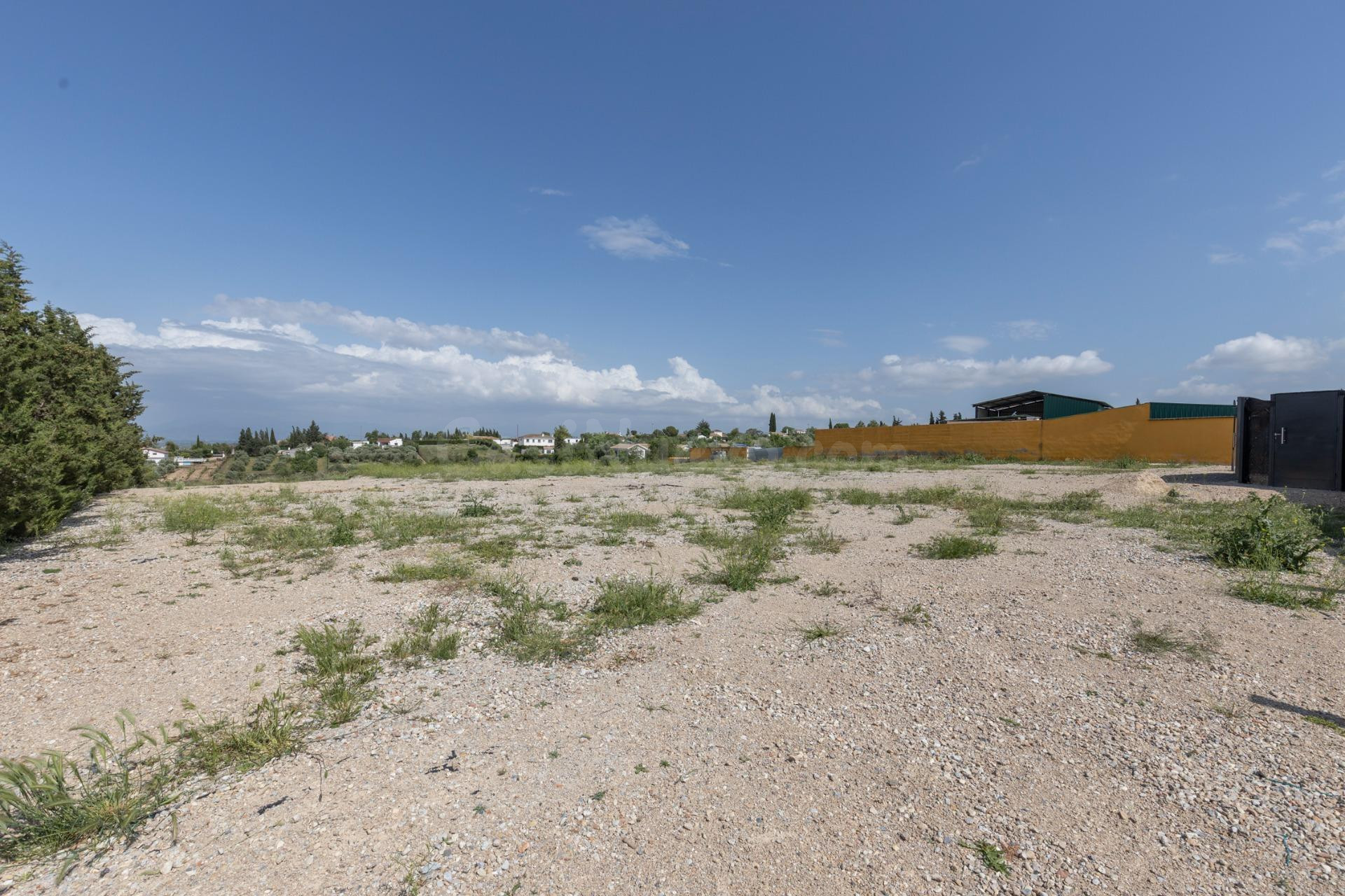 Terreno de Regadío en Venta en Moraleda de Zafayona – Ideal  - foto 4