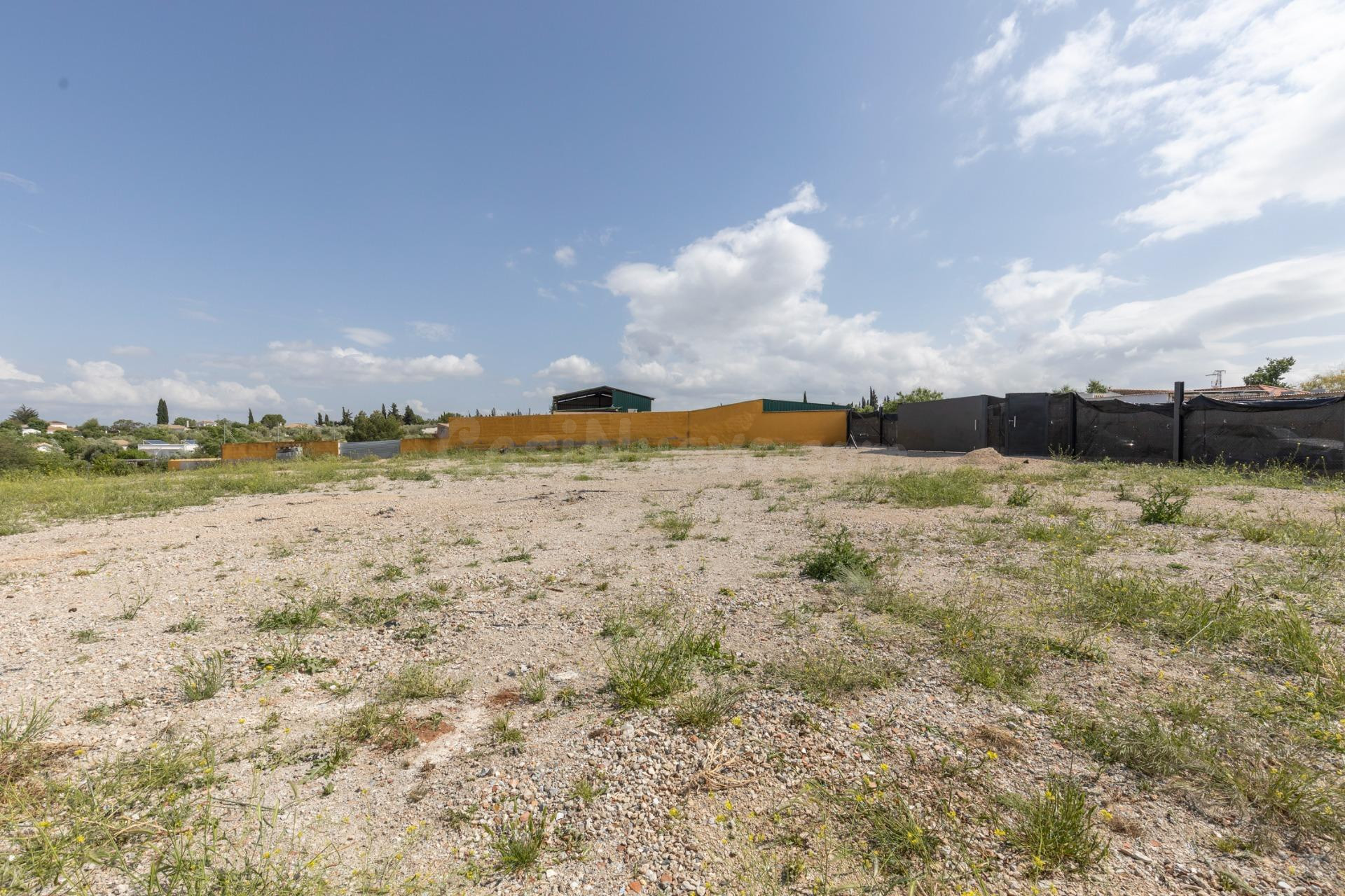 Terreno de Regadío en Venta en Moraleda de Zafayona – Ideal  - foto 5
