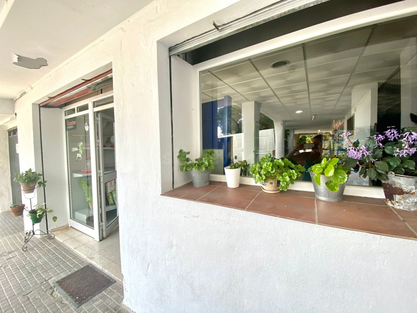 Local comercial - foto 3