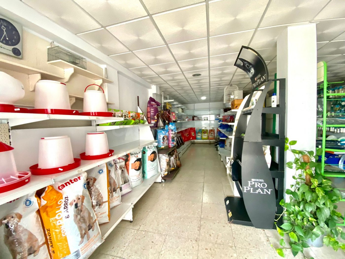 Local comercial - foto 4