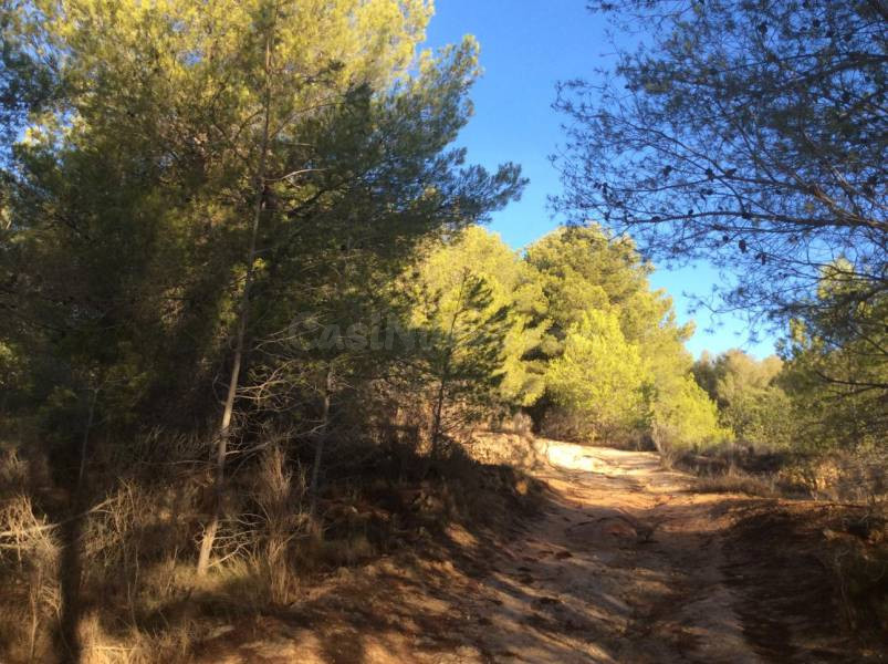 terreno 17444m2
