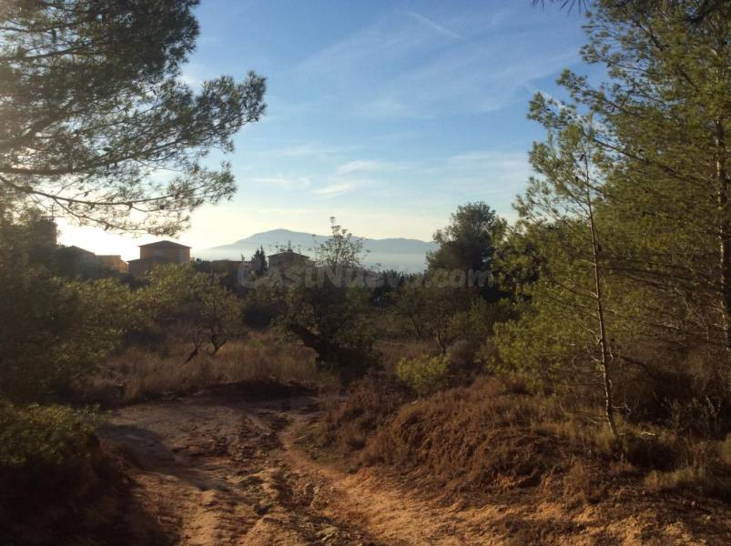 terreno 17444m2 - foto 4