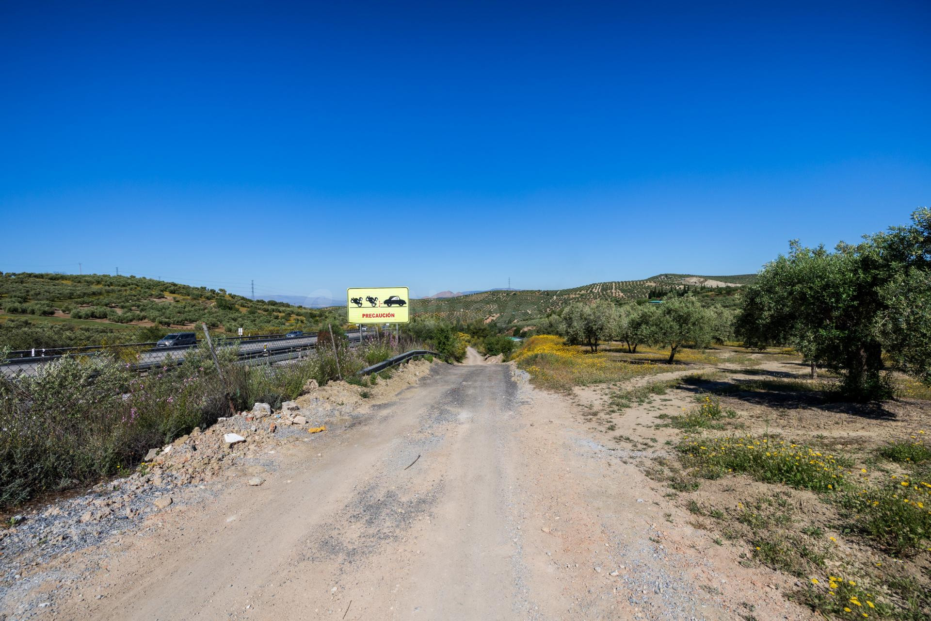 Finca de olivos en excelente ubicación – Alfacar - foto 4