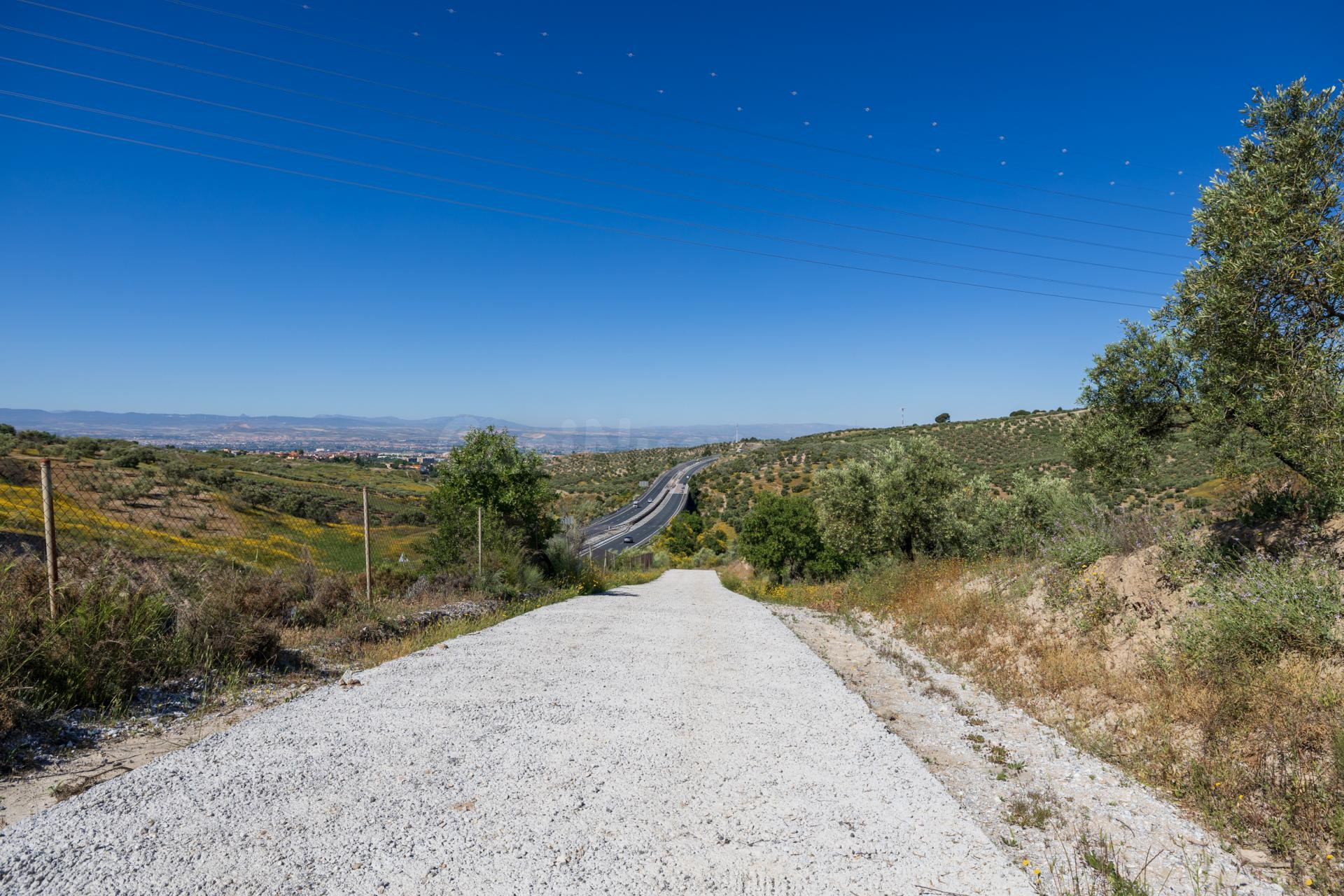 Finca de olivos en excelente ubicación – Alfacar - foto 5