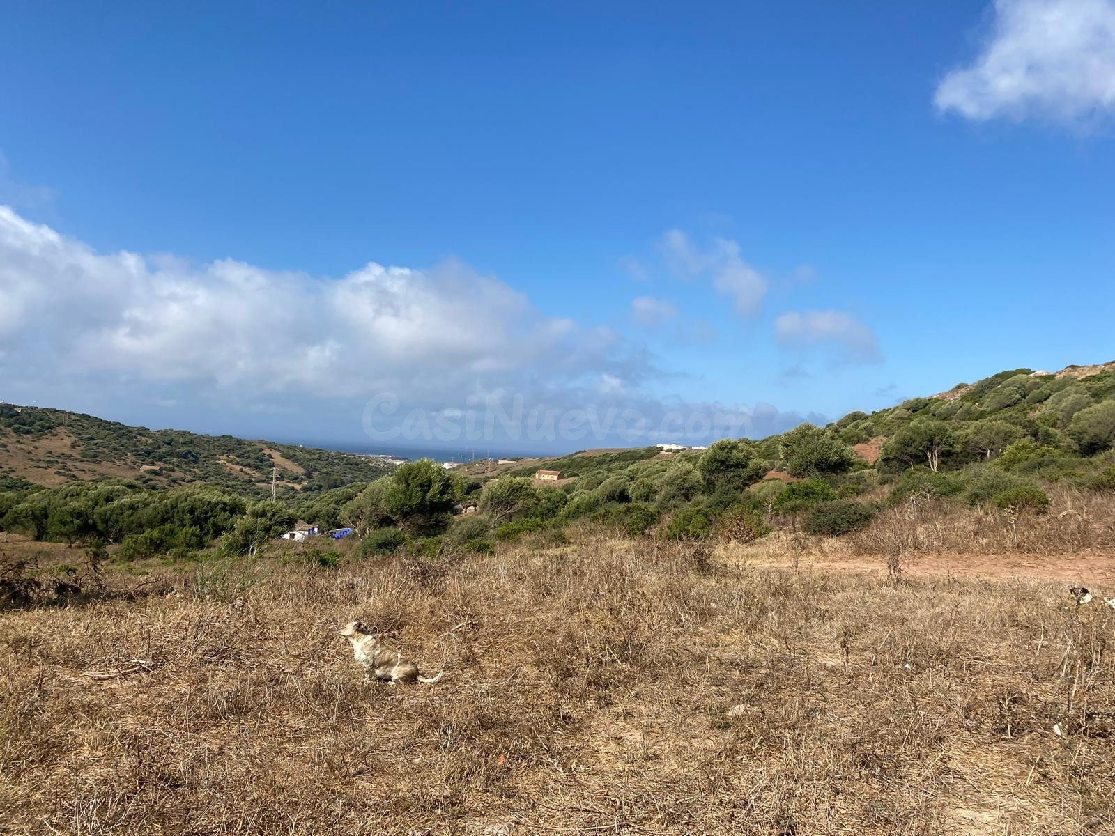 Finca rústica en Tarifa - foto 3