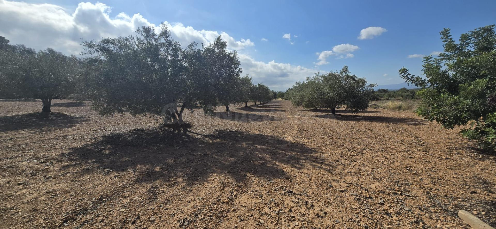 Casa de campo en venta Lliria - foto 2