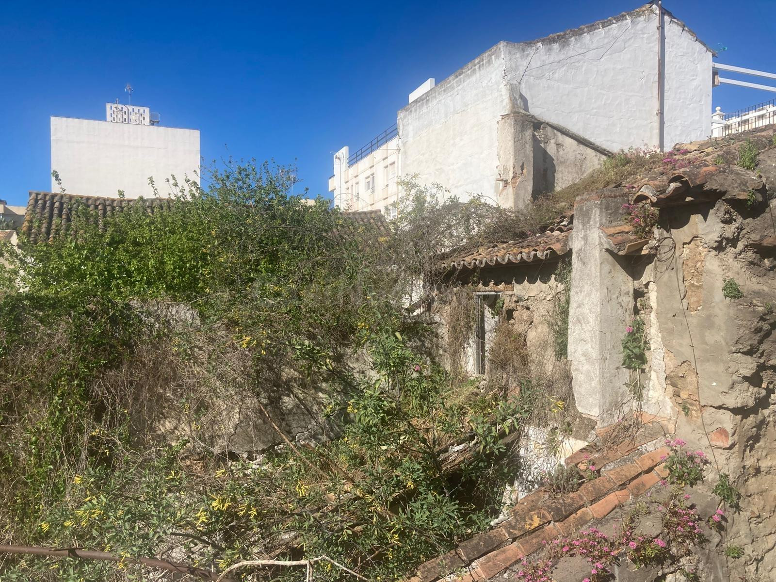 Casa solar Casco Histórico - foto 4