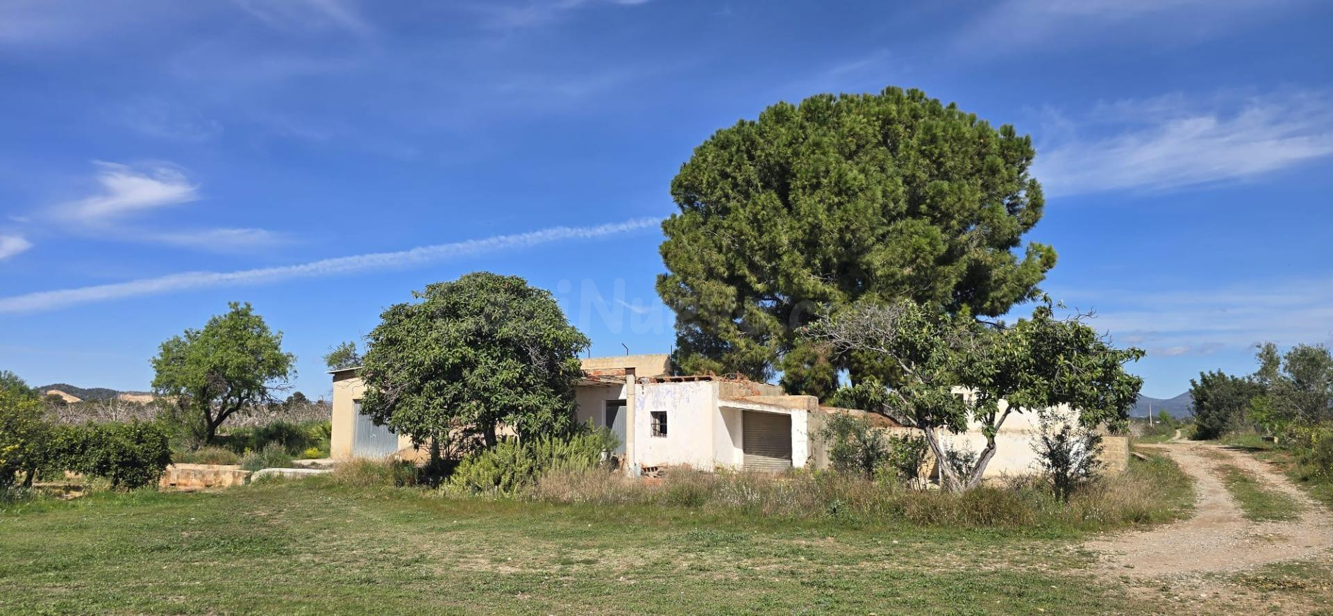 Chalet con finca de Naranjos en venta Lliria