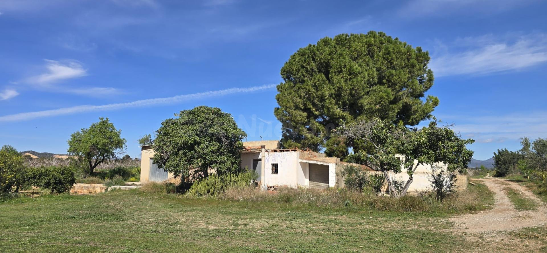 Chalet con finca de Naranjos en venta Lliria - foto 2