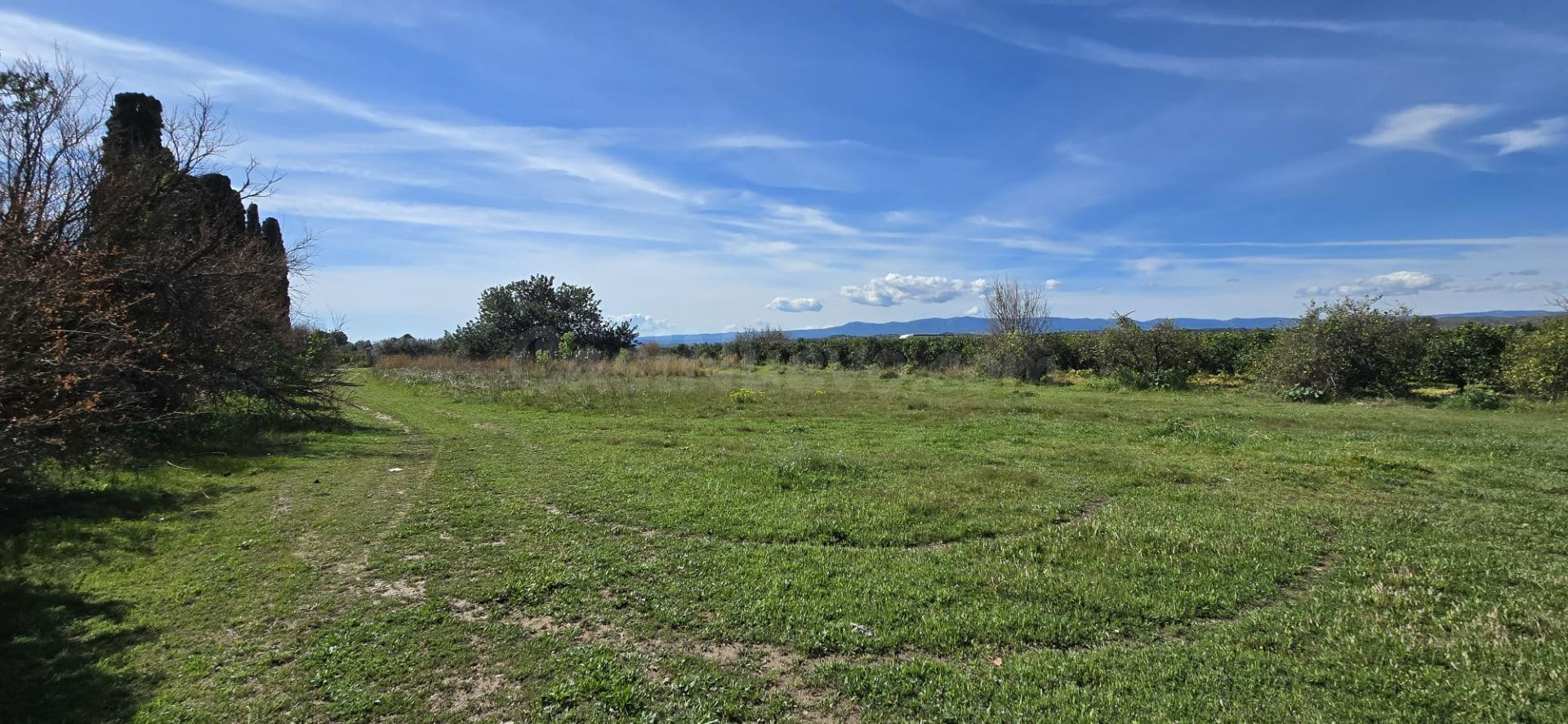 Chalet con finca de Naranjos en venta Lliria - foto 3
