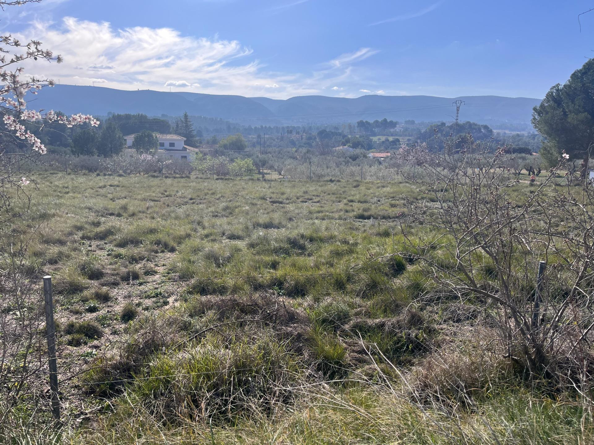 OPORTUNIDAD!! ESPECTACULAR FINCA RÚSTICA PARA REFORMAR CON 1 - foto 4