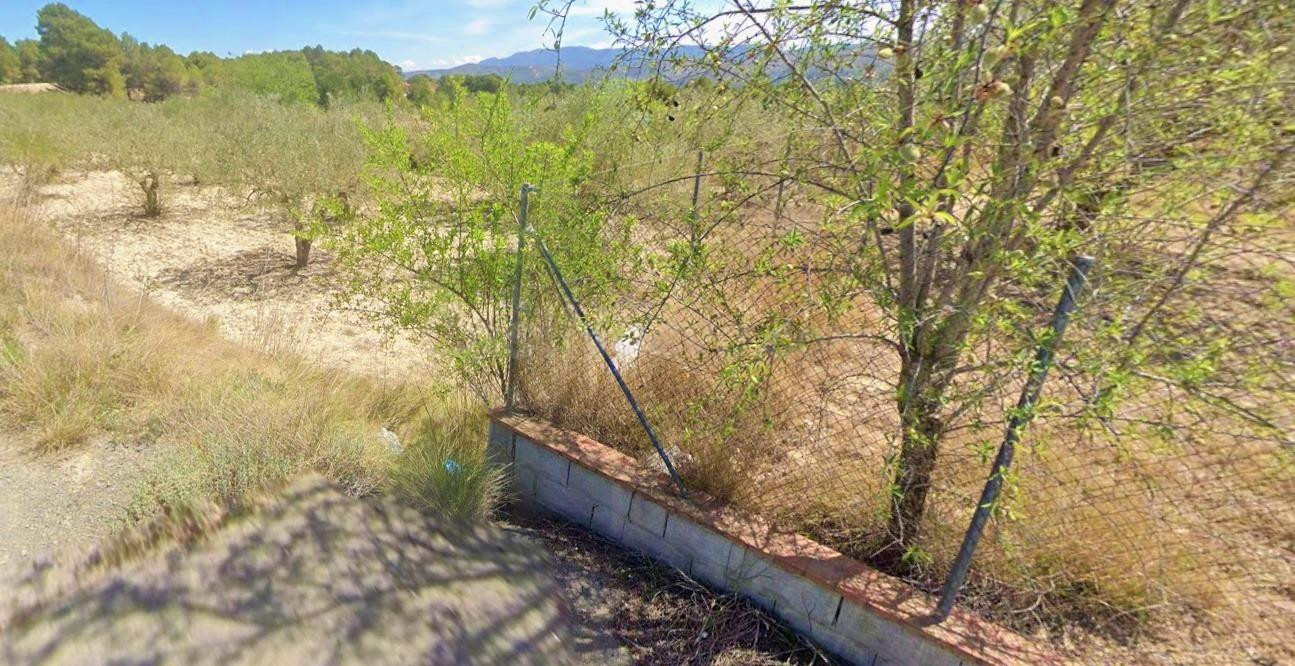 TERRENO RÚSTICO AGRÍCOLA CON VALOR PAISAJÍSTICO