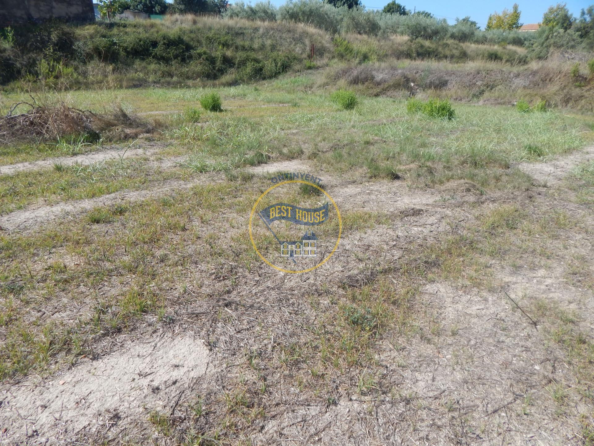PARCELA DE REGADÍO PROXIMA A LA POBLACION DE ONTINYENT - foto 2
