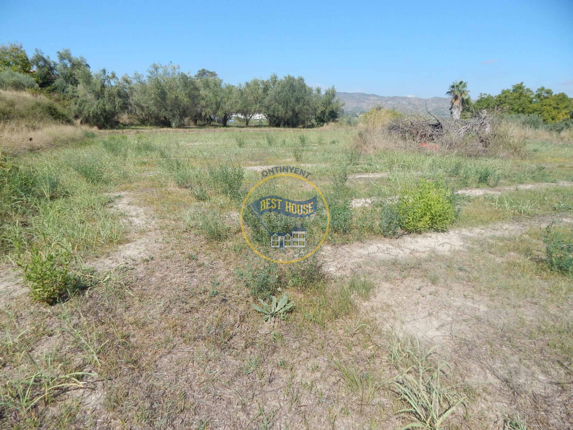 PARCELA DE REGADÍO PROXIMA A LA POBLACION DE ONTINYENT - foto 3