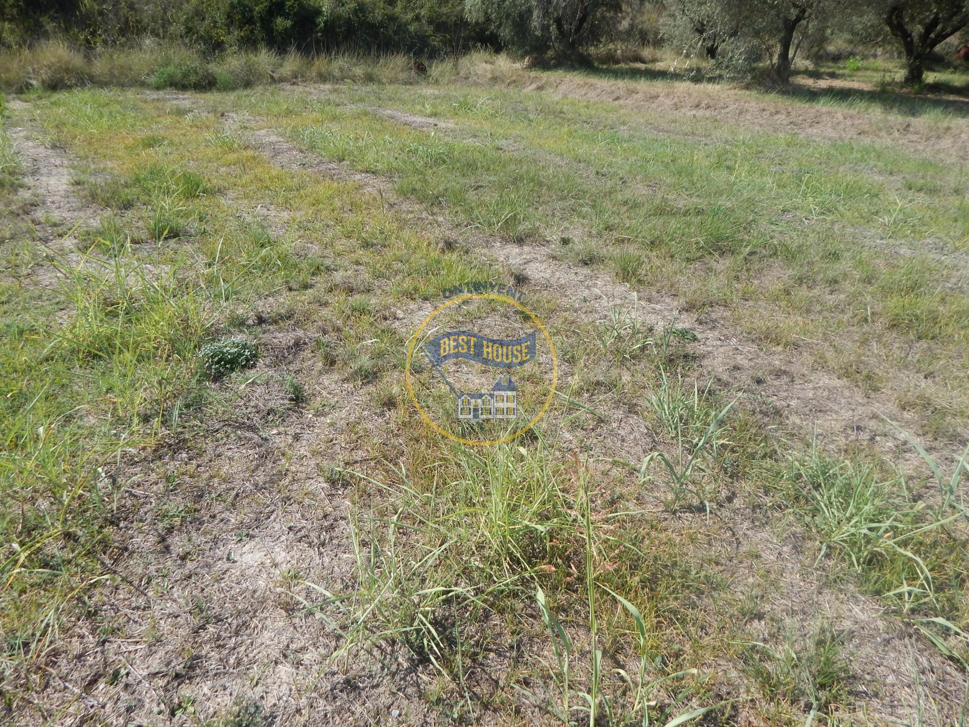 PARCELA DE REGADÍO PROXIMA A LA POBLACION DE ONTINYENT - foto 5