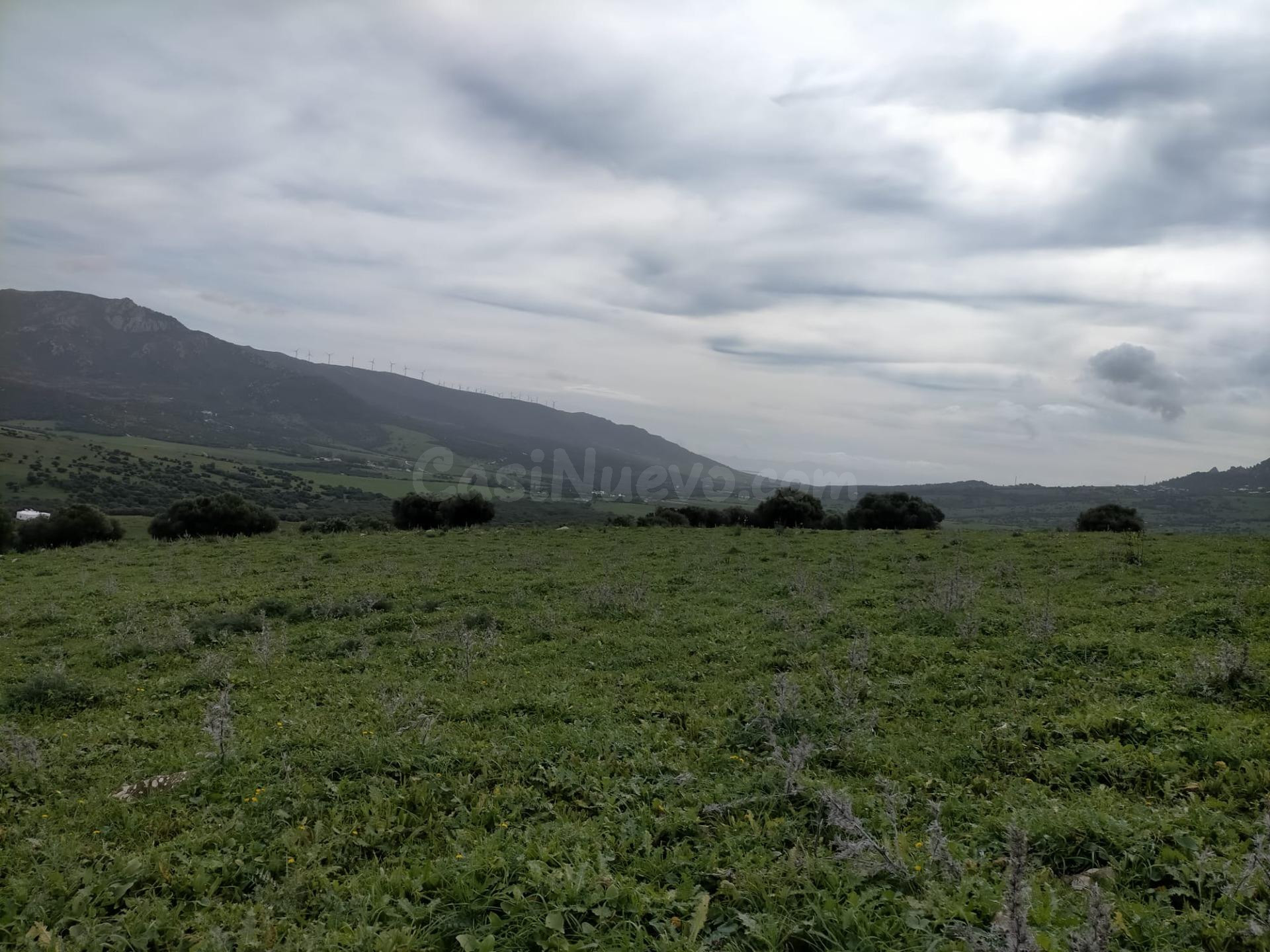 Gran finca en Tarifa - foto 2