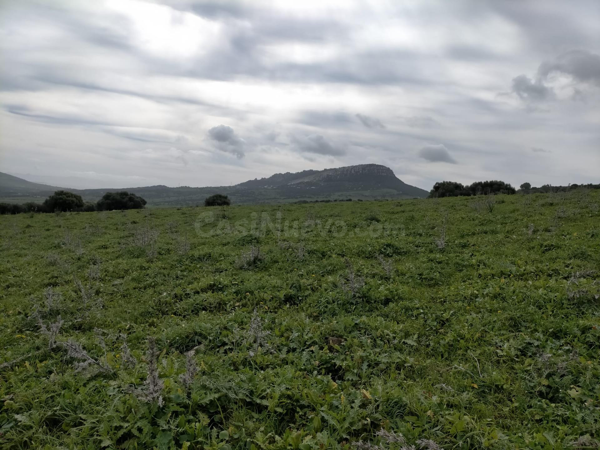 Gran finca en Tarifa - foto 3