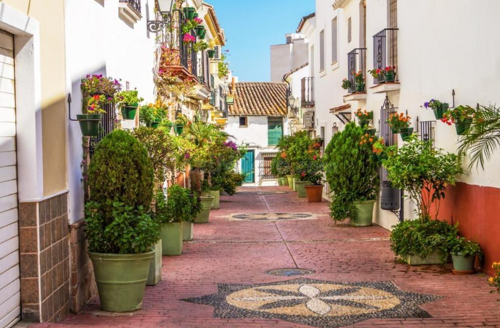 Parcela urbana en casco  histórico