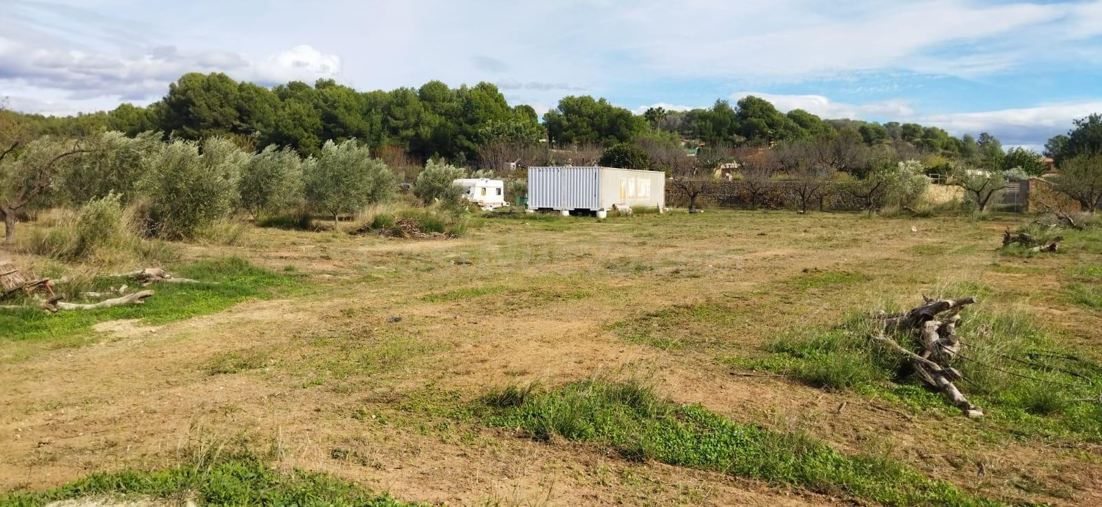 Finca de regadio en Lliria