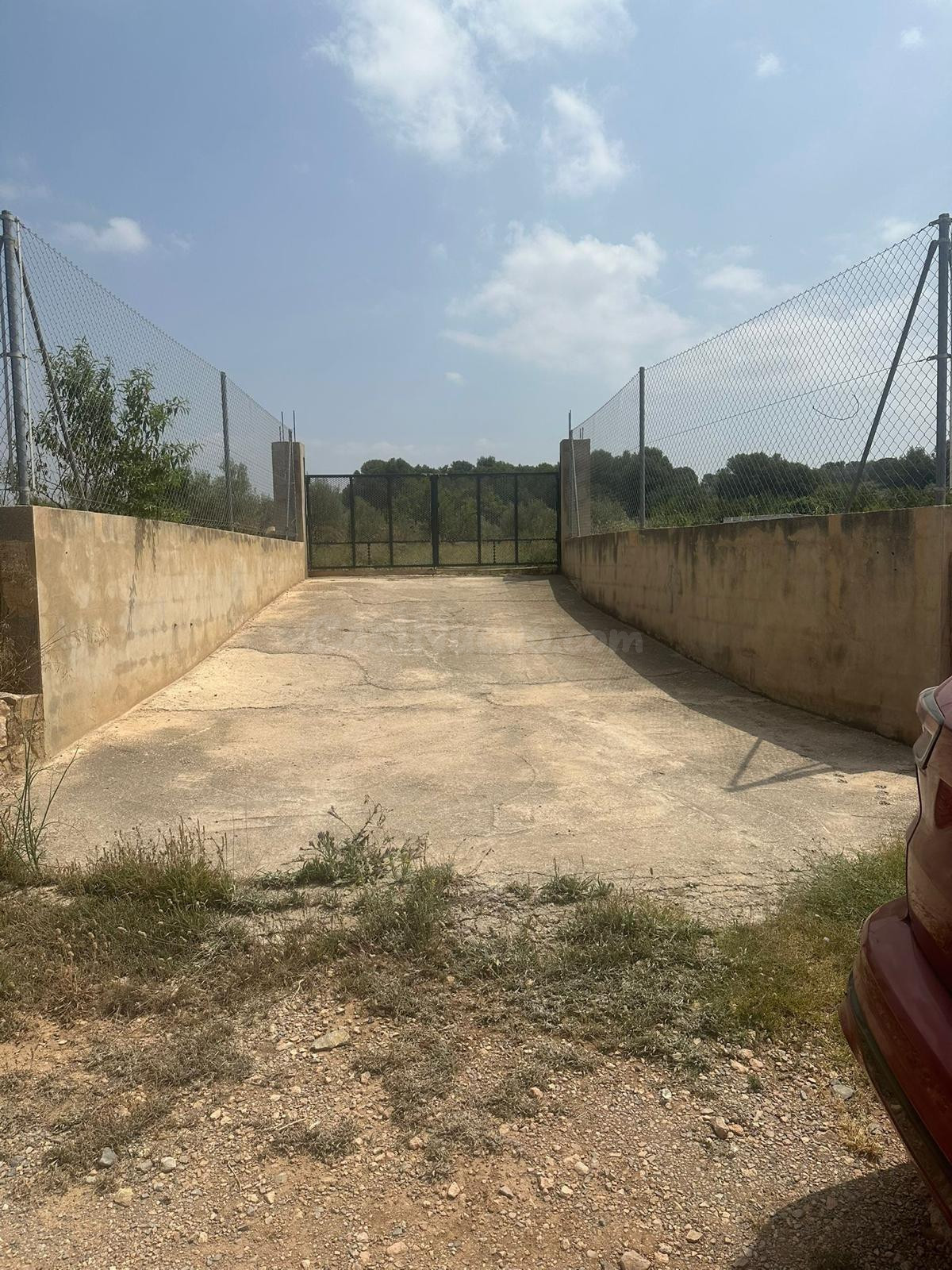 Finca de regadio en Lliria - foto 3