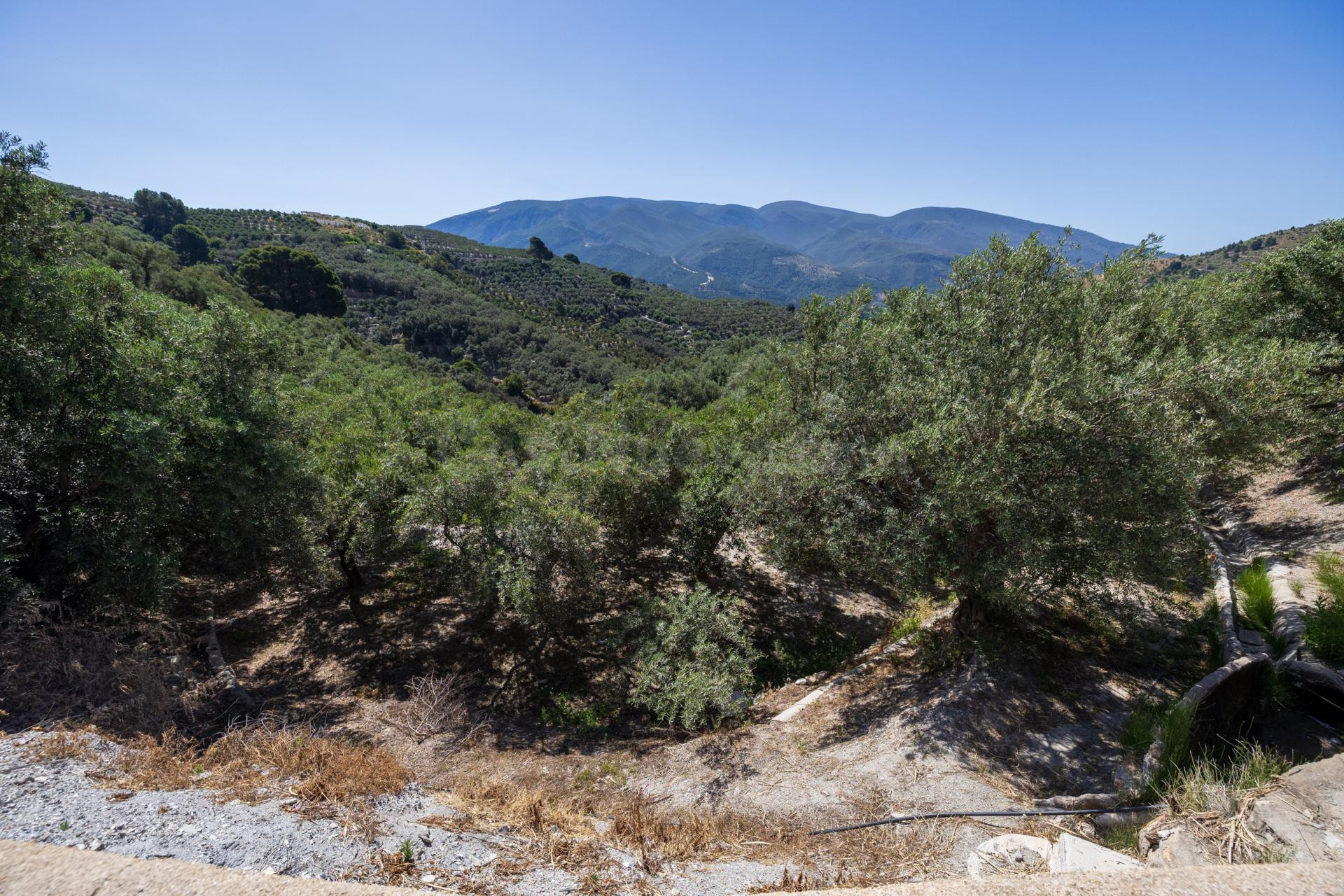 FINCAS RÚSTICAS EN Lanjarón – NATURALEZA, ACCESO EXCELENTE Y - foto 4