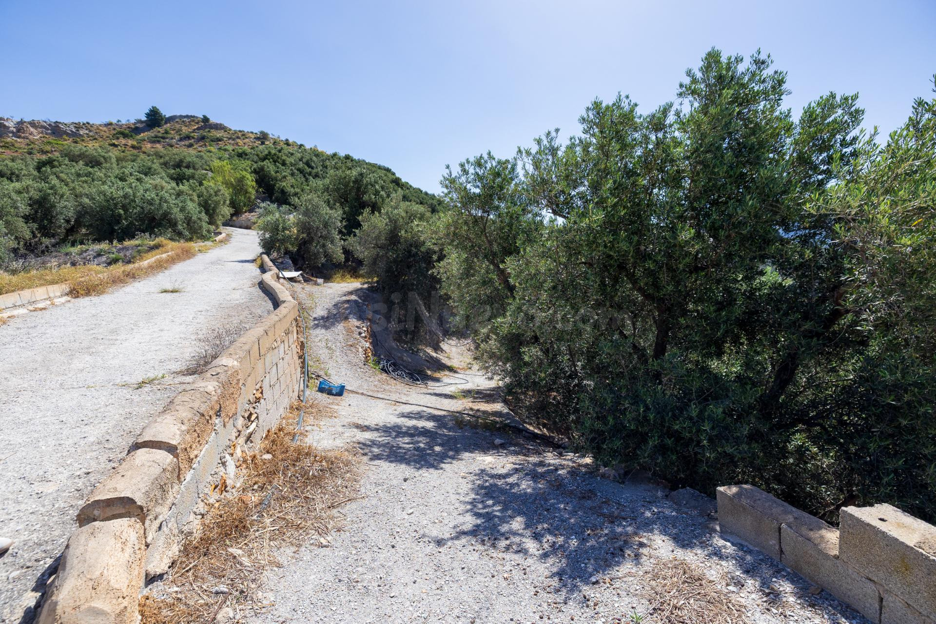 FINCAS RÚSTICAS EN Lanjarón – NATURALEZA, ACCESO EXCELENTE Y - foto 5