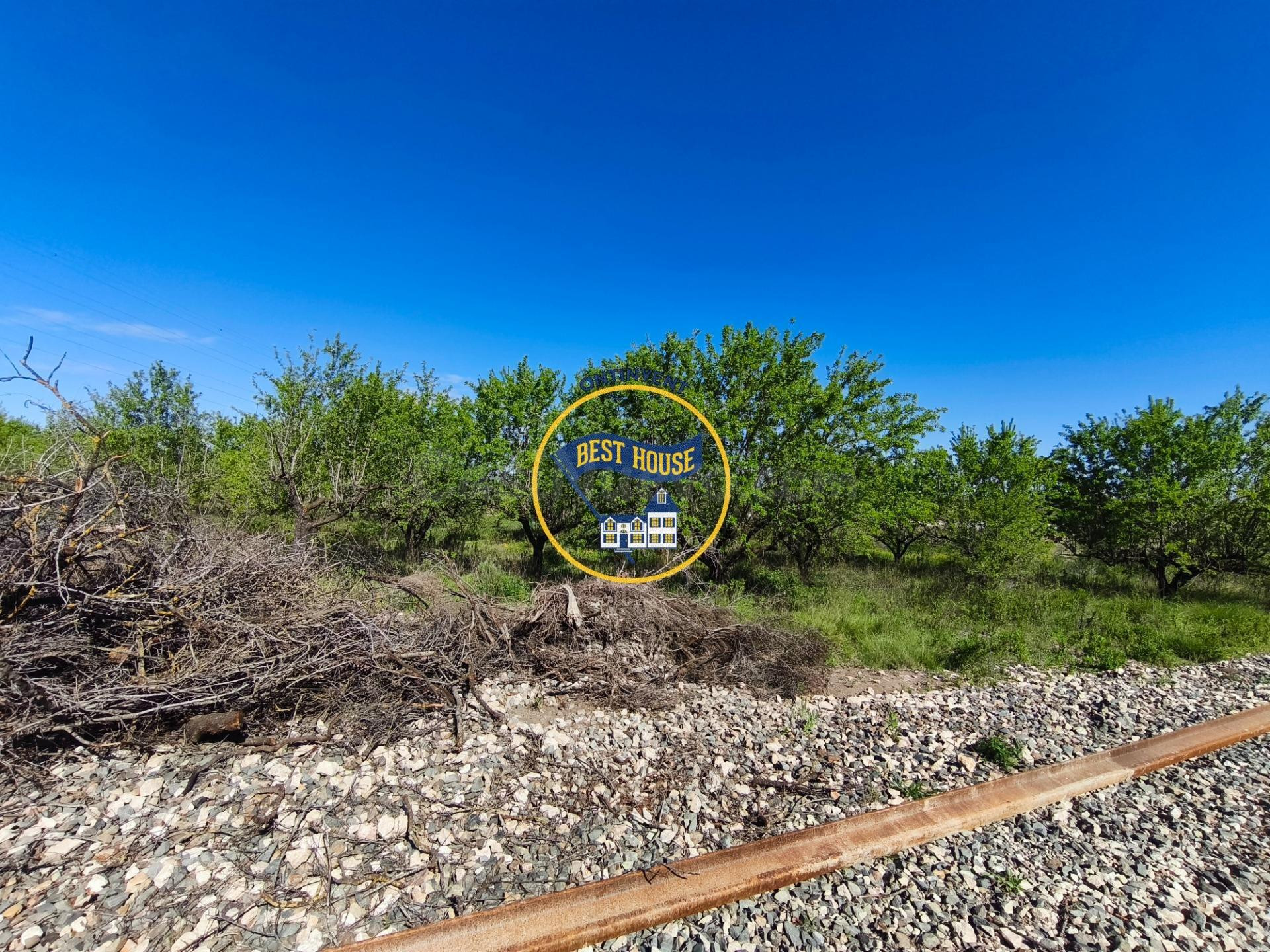 ESTUPENDO LOTE DE 4 PARCELAS DE TERRENO DE CULTIVO EN ALBAID - foto 4