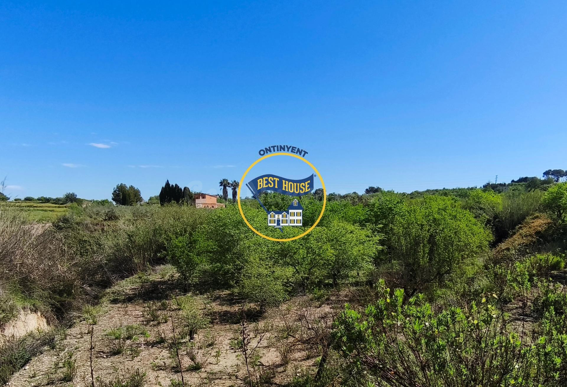 ESTUPENDO LOTE DE 4 PARCELAS DE TERRENO DE CULTIVO EN ALBAID - foto 5