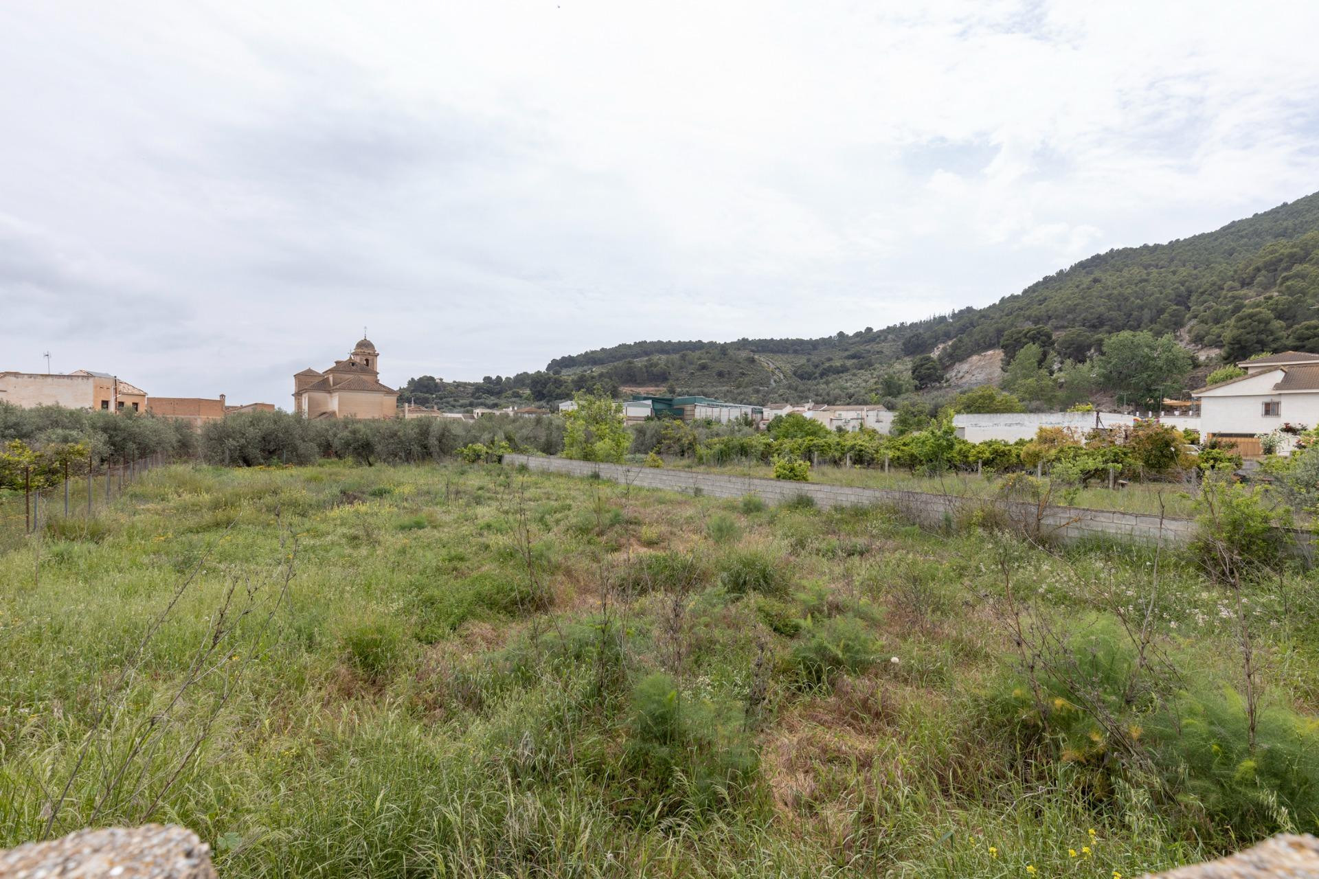 ESPECTACULAR TERRENO DE 876M2 EN PINOS DEL VALLE - foto 4
