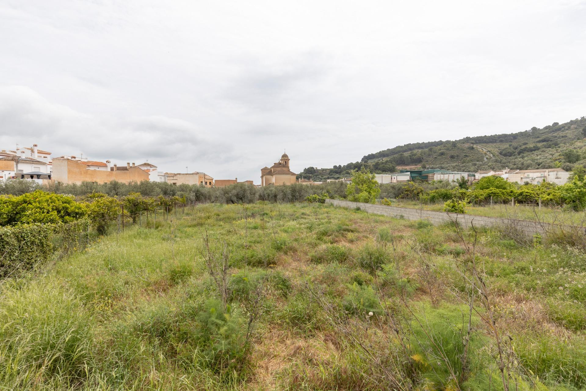 ESPECTACULAR TERRENO DE 876M2 EN PINOS DEL VALLE - foto 5