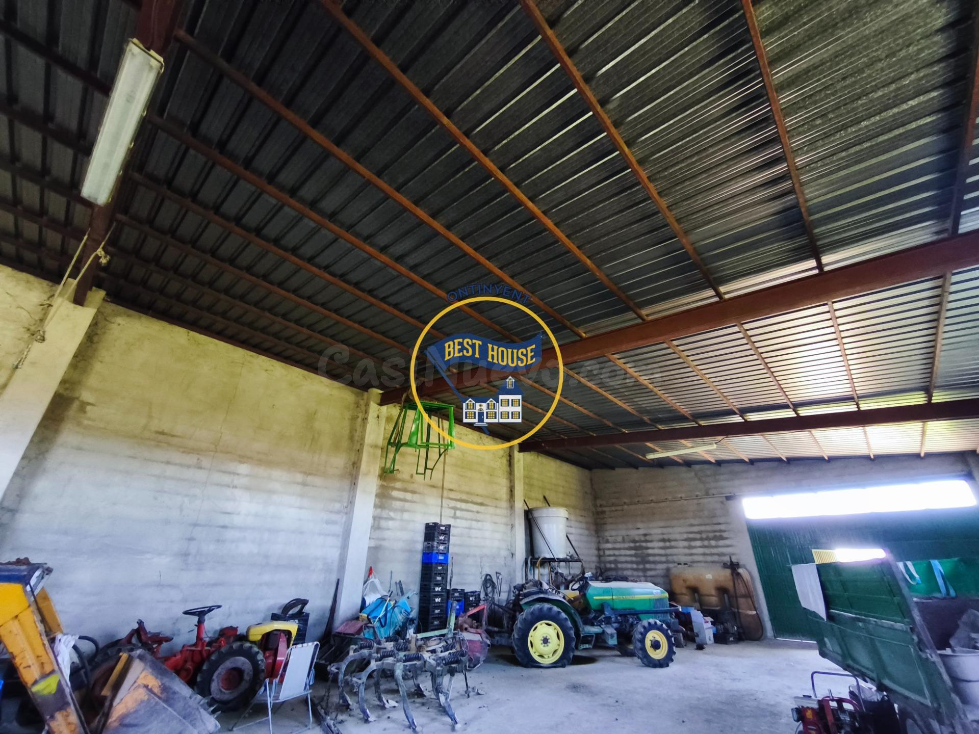 LOTE DE DOS PARCELAS DE TERRENO EN CULTIVO Y NAVE DE 224 m2  - foto 2