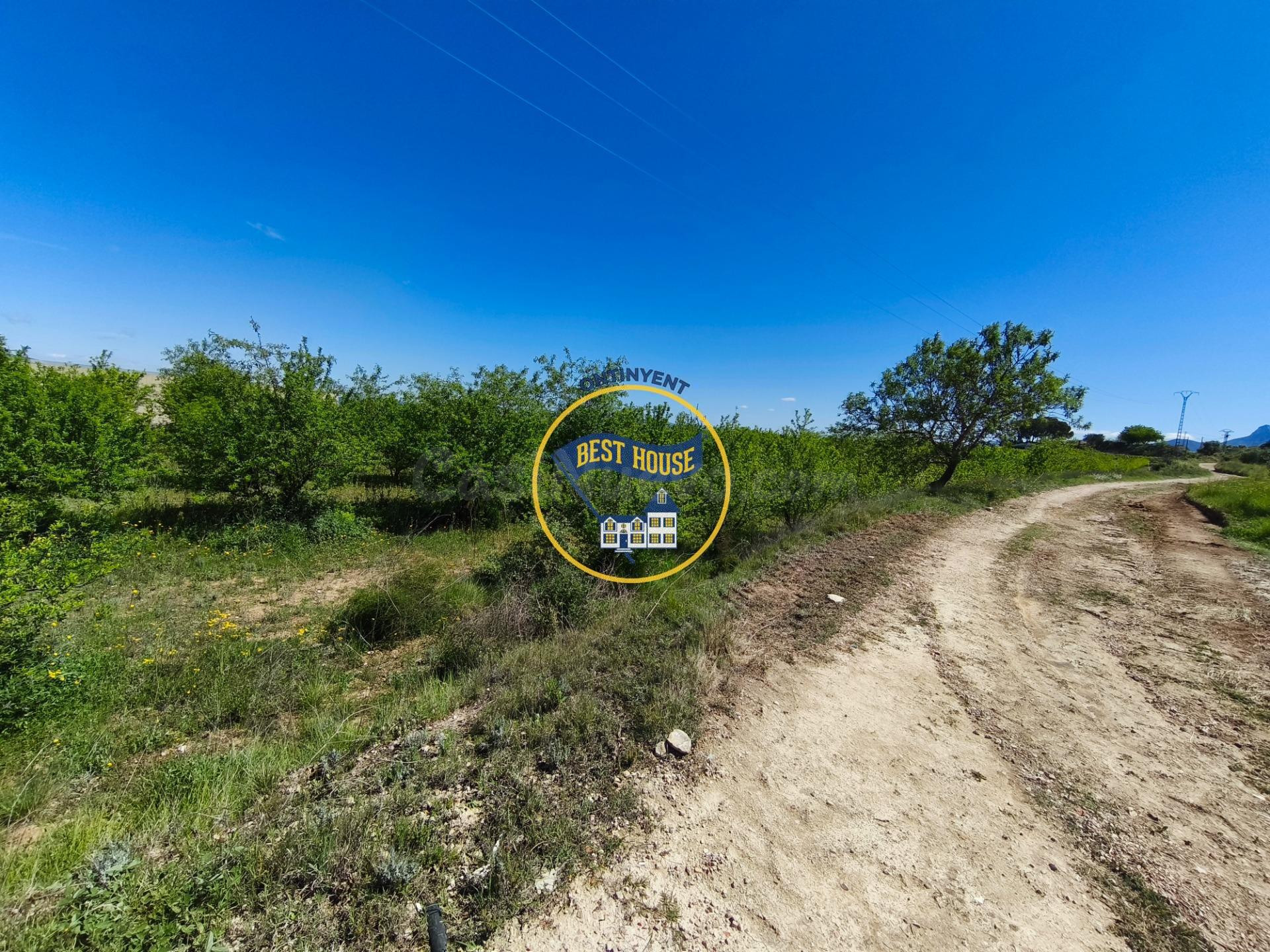LOTE DE DOS PARCELAS DE TERRENO EN CULTIVO Y NAVE DE 224 m2  - foto 4
