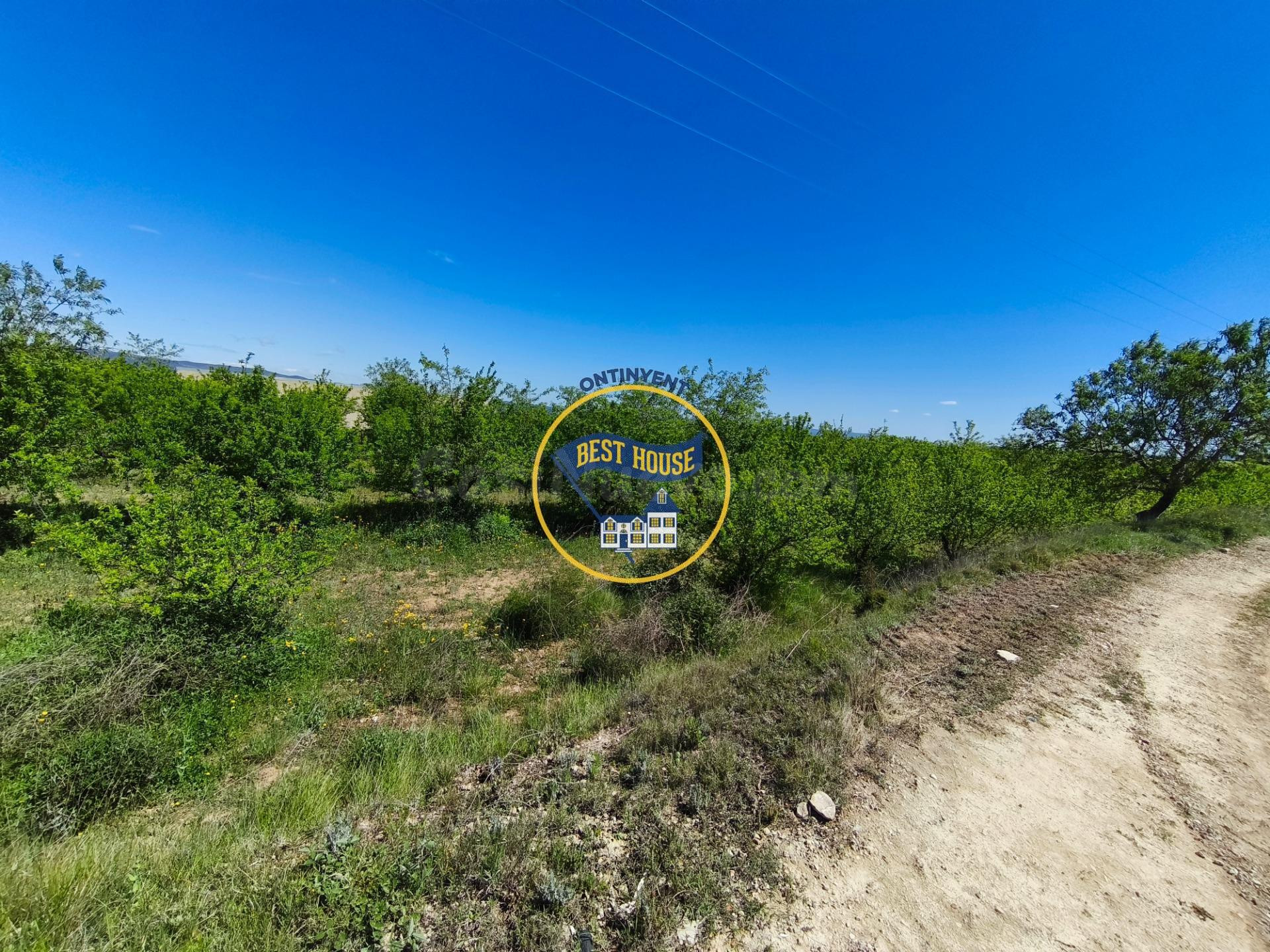 LOTE DE DOS PARCELAS DE TERRENO EN CULTIVO Y NAVE DE 224 m2  - foto 5