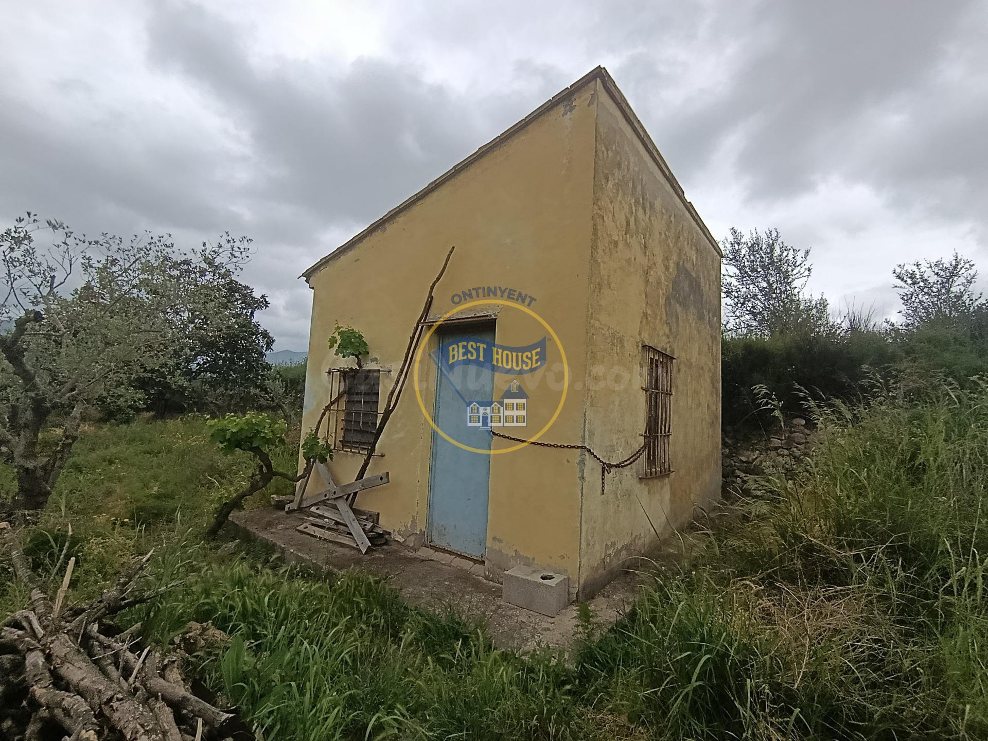 PARCELA RÚSTICA CON OLIVOS Y REFUGIO A LA VENTA EN AIELO DE 