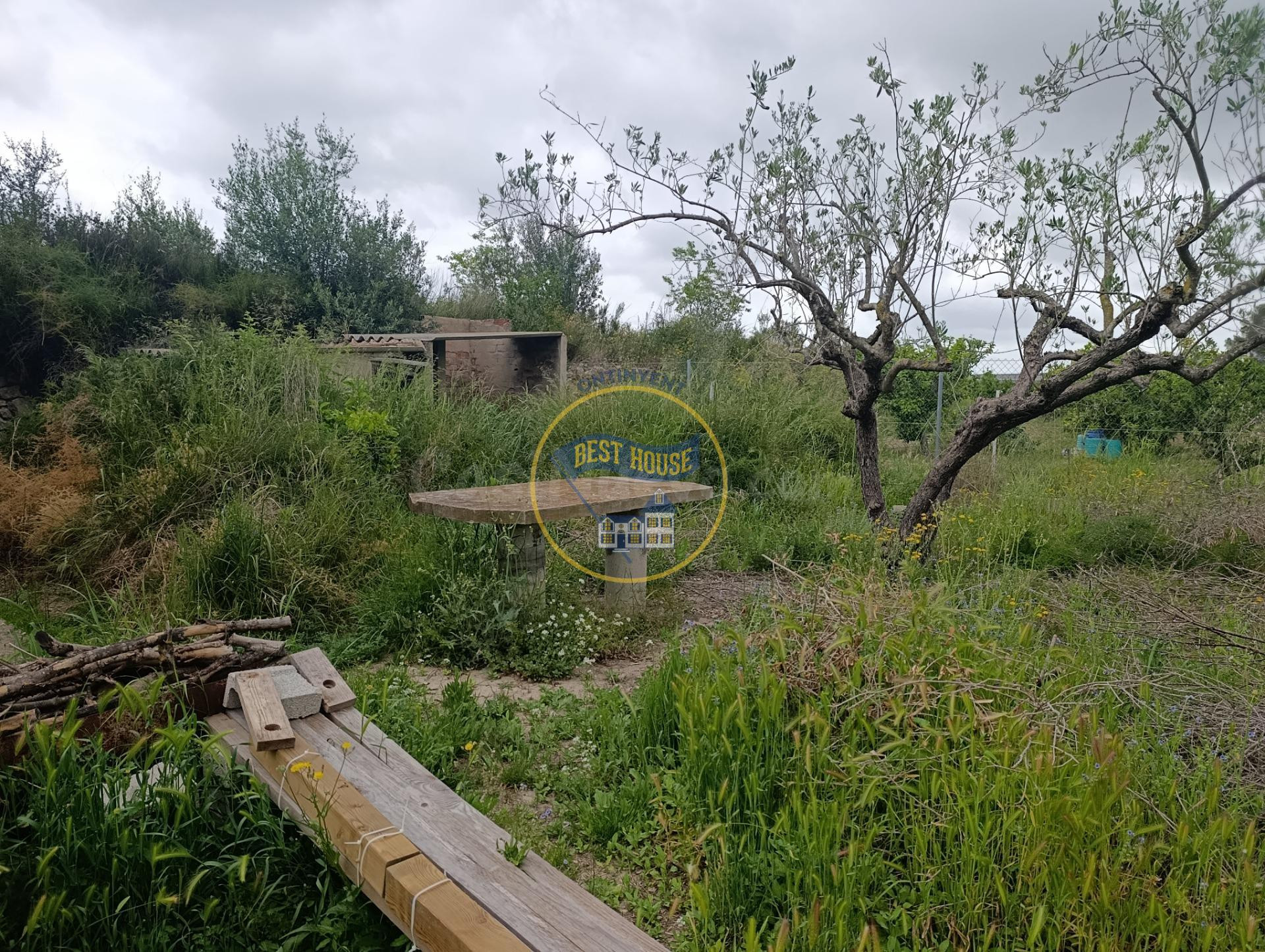 PARCELA RÚSTICA CON OLIVOS Y REFUGIO A LA VENTA EN AIELO DE  - foto 2